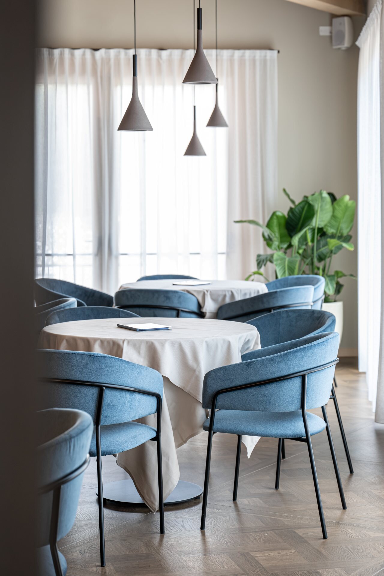 C Elisafedrizzi Ladinarredi Olimpo 56